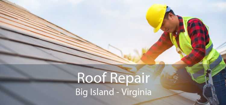 Roof Repair Big Island - Virginia