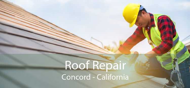 Roof Repair Concord - California