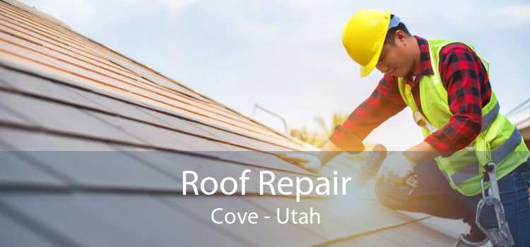 Roof Repair Cove - Utah