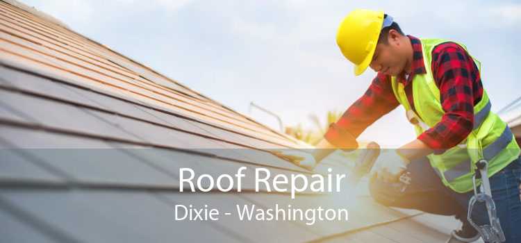 Roof Repair Dixie - Washington