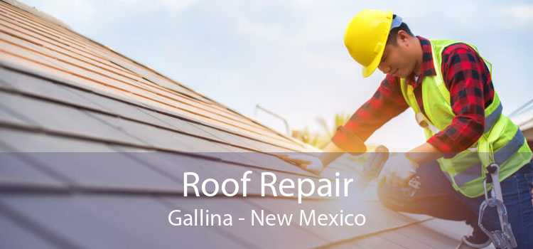 Roof Repair Gallina - New Mexico