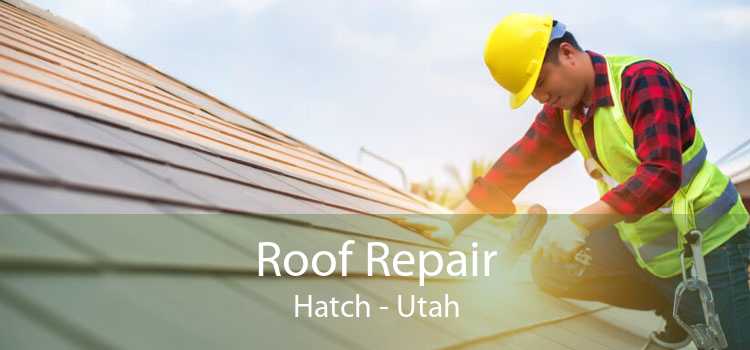 Roof Repair Hatch - Utah