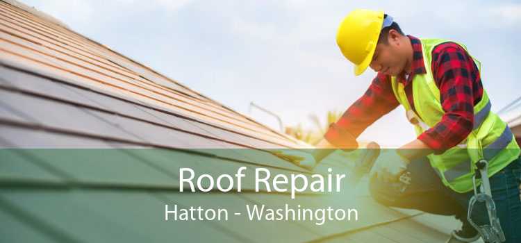 Roof Repair Hatton - Washington
