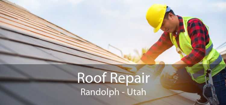 Roof Repair Randolph - Utah