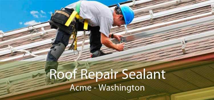 Roof Repair Sealant Acme - Washington