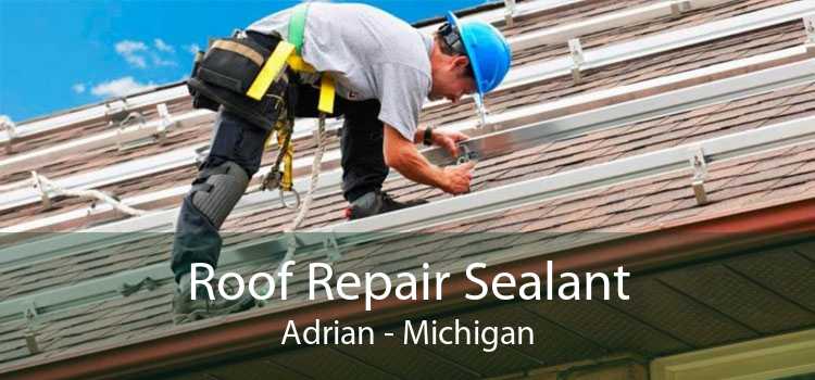 Roof Repair Sealant Adrian - Michigan