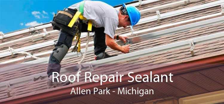 Roof Repair Sealant Allen Park - Michigan