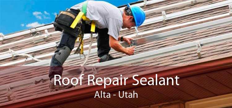 Roof Repair Sealant Alta - Utah