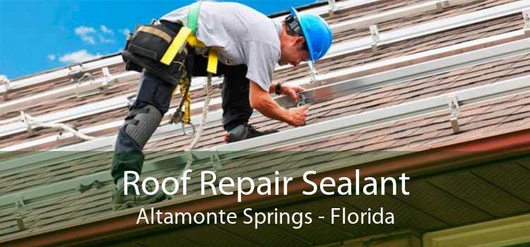 Roof Repair Sealant Altamonte Springs - Florida