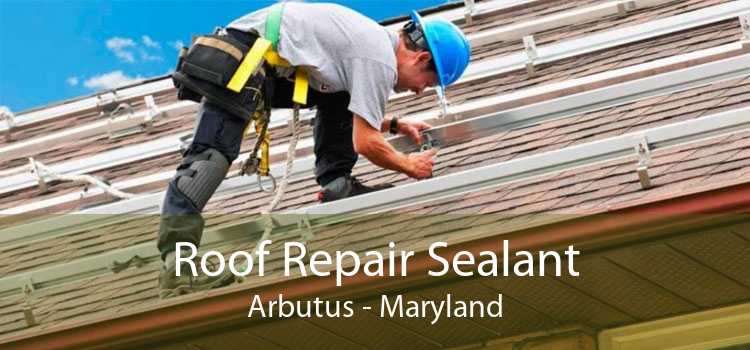 Roof Repair Sealant Arbutus - Maryland