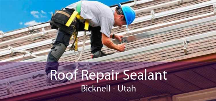 Roof Repair Sealant Bicknell - Utah