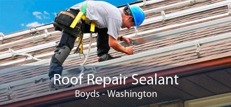 Roof Repair Sealant Boyds - Washington