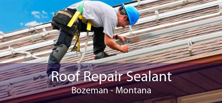 Roof Repair Sealant Bozeman - Montana