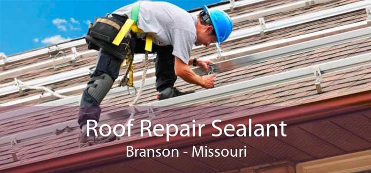 Roof Repair Sealant Branson - Missouri
