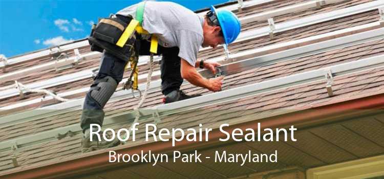 Roof Repair Sealant Brooklyn Park - Maryland