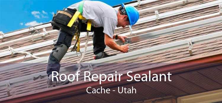 Roof Repair Sealant Cache - Utah