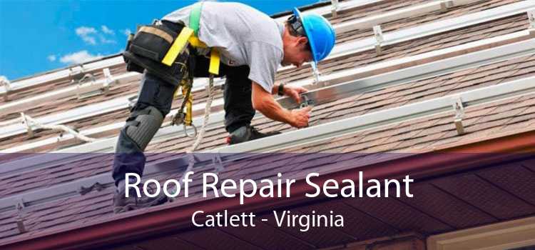 Roof Repair Sealant Catlett - Virginia