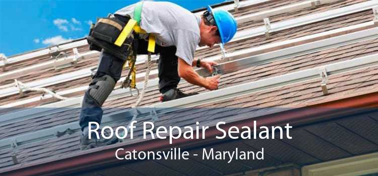 Roof Repair Sealant Catonsville - Maryland