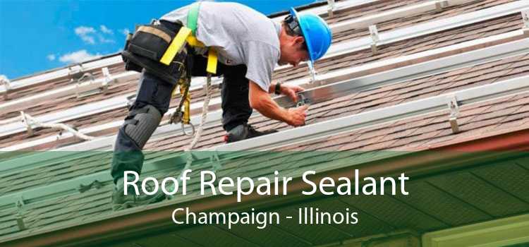 Roof Repair Sealant Champaign - Illinois