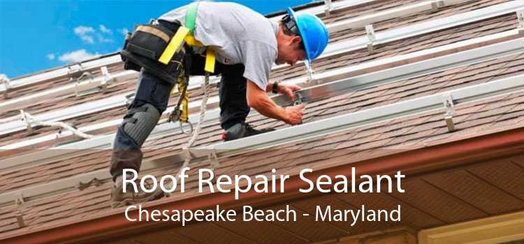 Roof Repair Sealant Chesapeake Beach - Maryland