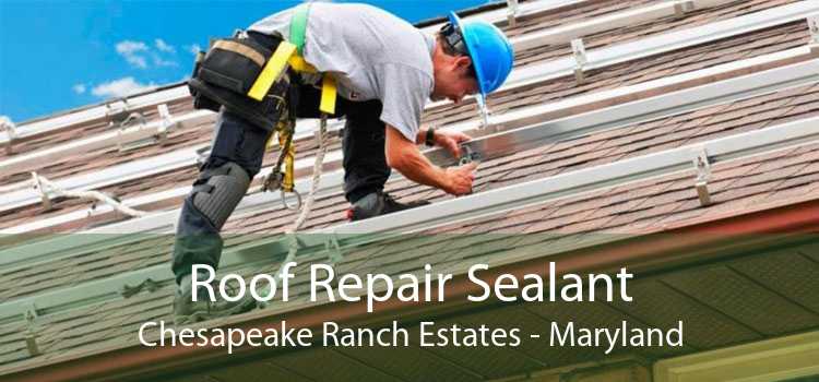 Roof Repair Sealant Chesapeake Ranch Estates - Maryland