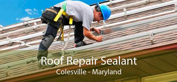 Roof Repair Sealant Colesville - Maryland