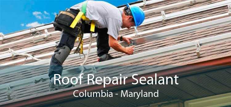 Roof Repair Sealant Columbia - Maryland