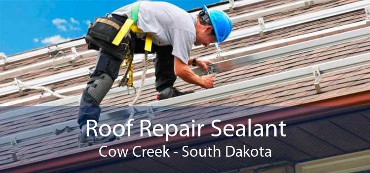 Roof Repair Sealant Cow Creek - South Dakota