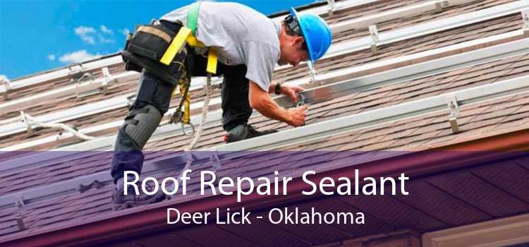 Roof Repair Sealant Deer Lick - Oklahoma
