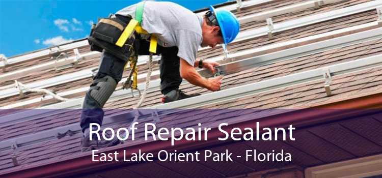 Roof Repair Sealant East Lake Orient Park - Florida