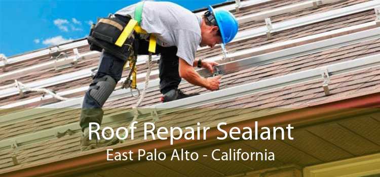 Roof Repair Sealant East Palo Alto - California
