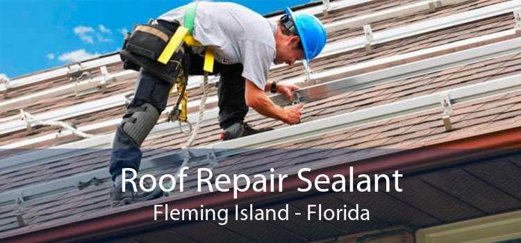 Roof Repair Sealant Fleming Island - Florida