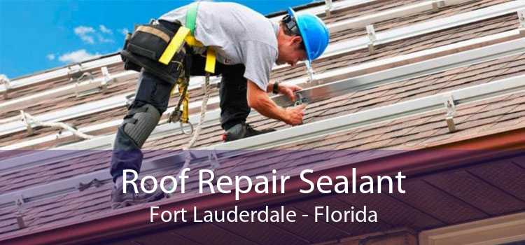 Roof Repair Sealant Fort Lauderdale - Florida