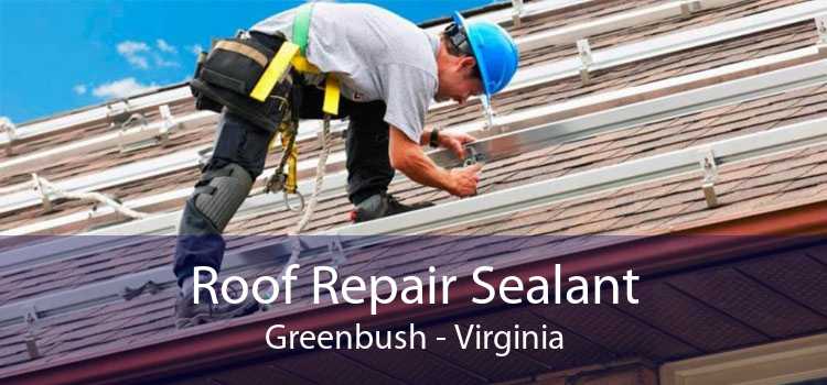 Roof Repair Sealant Greenbush - Virginia
