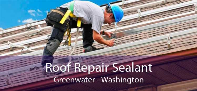 Roof Repair Sealant Greenwater - Washington