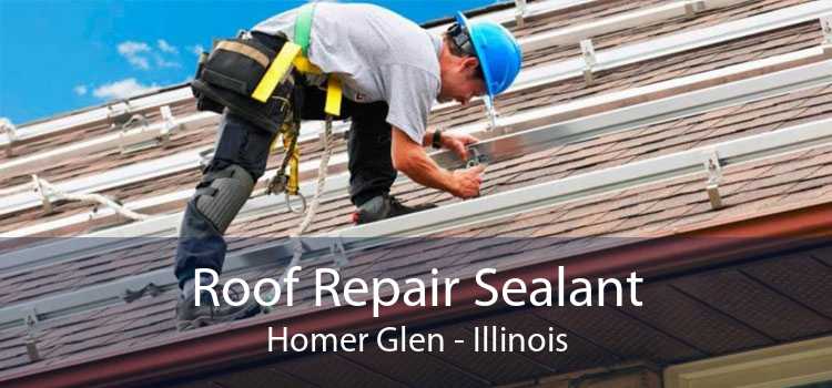 Roof Repair Sealant Homer Glen - Illinois
