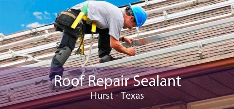 Roof Repair Sealant Hurst - Texas