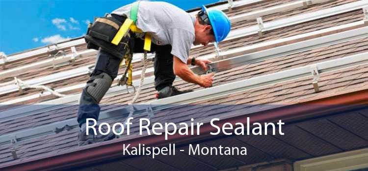 Roof Repair Sealant Kalispell - Montana