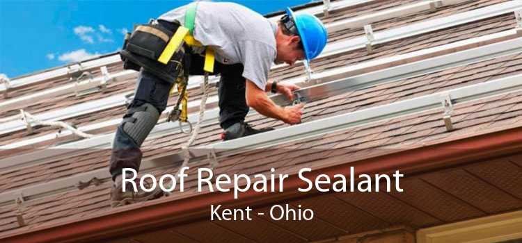 Roof Repair Sealant Kent - Ohio