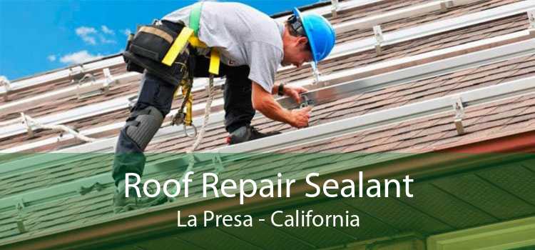Roof Repair Sealant La Presa - California