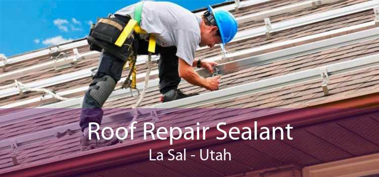 Roof Repair Sealant La Sal - Utah