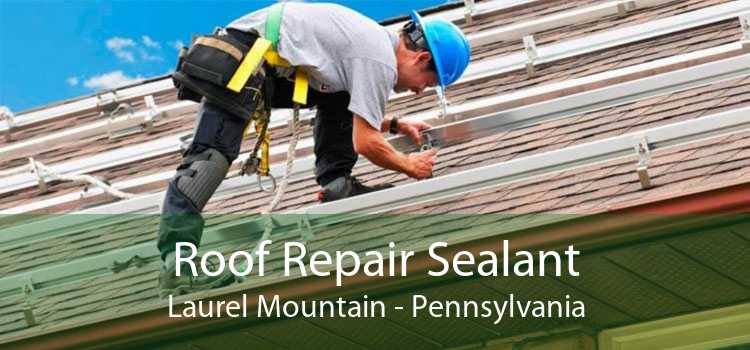 Roof Repair Sealant Laurel Mountain - Pennsylvania