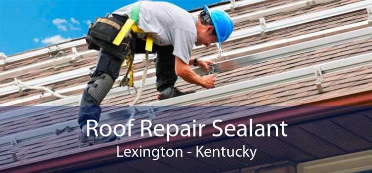 Roof Repair Sealant Lexington - Kentucky