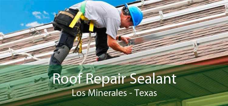 Roof Repair Sealant Los Minerales - Texas