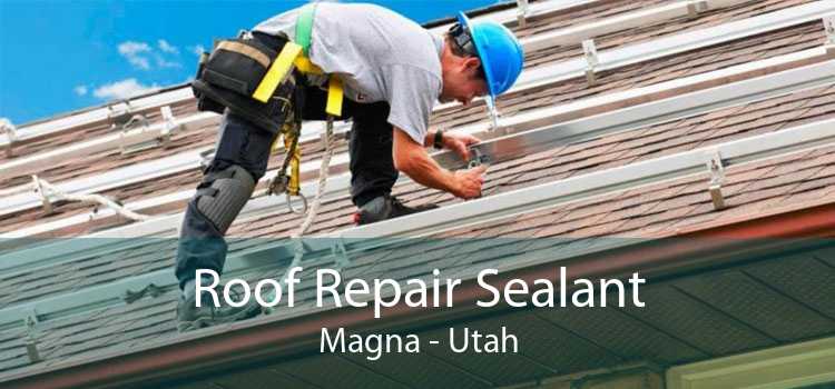 Roof Repair Sealant Magna - Utah