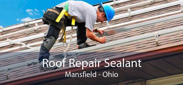 Roof Repair Sealant Mansfield - Ohio