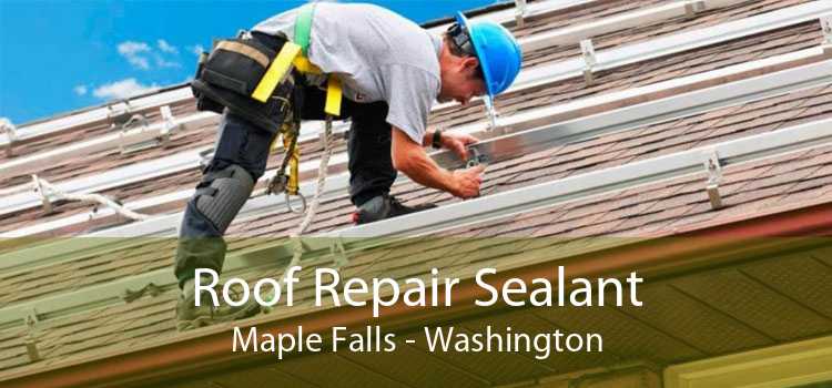 Roof Repair Sealant Maple Falls - Washington