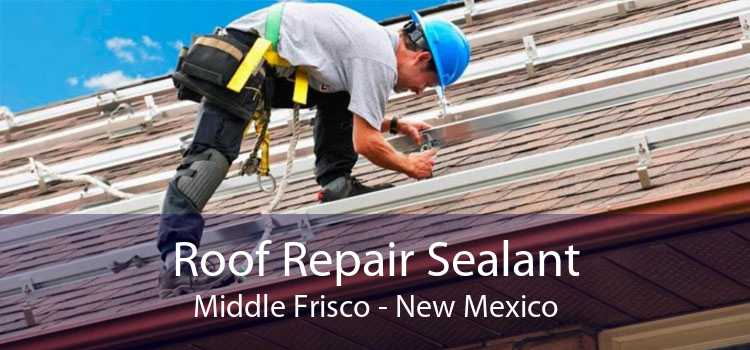 Roof Repair Sealant Middle Frisco - New Mexico