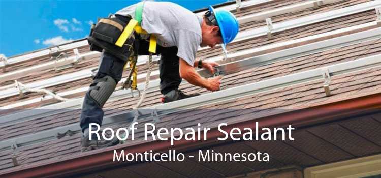 Roof Repair Sealant Monticello - Minnesota