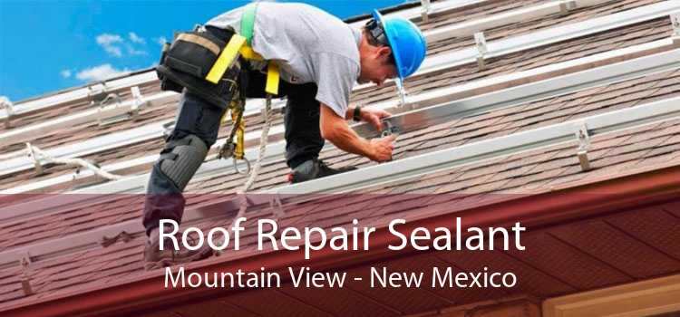 Roof Repair Sealant Mountain View - New Mexico
